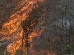 Kebakaran Lahan di Aceh Meluas, BPBA: Total 52 Hektare