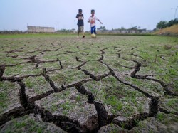 Kementan Minta Maksimalkan Alsintan untuk Hadapi Musim Kekeringan