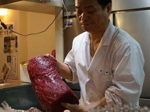 Jepang Lelang Daging Paus Hasil Perburuan Pertama Usai Larangan Dicabut