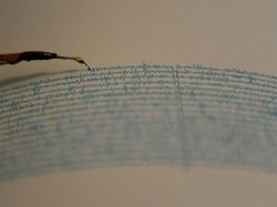 Gempa M 4,9 Terjadi di Sumba Barat Daya