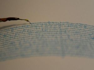 Gempa M 3,9 Guncang Tuapejat Sumbar Gempa M 3,9 Guncang Tuapejat Sumbar