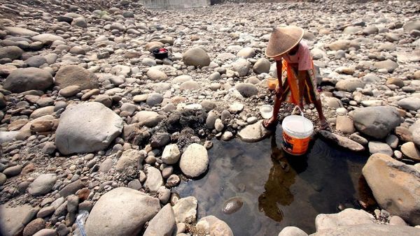 Potret Kekeringan di Sejumlah Wilayah di Pulau Jawa