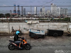10 Kota Metropolitan RI Masih Dijamuri Rumah Tak Layak Huni