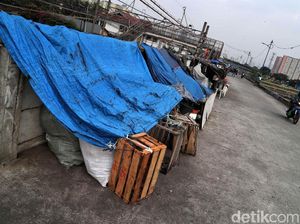 Duh, Gubuk Liar Penuhi Bantaran Sungai Banjir Kanal Barat