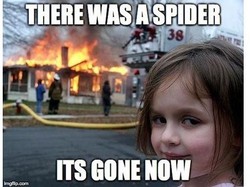 Kisah Nyata di Balik Meme Gadis Senyum Saat Rumah Kebakaran