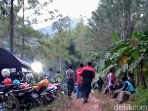 Jenazah yang Ditemukan di Bukit Piramid Tersangkut Pohon Jenazah yang Ditemukan di Bukit Piramid Tersangkut Pohon