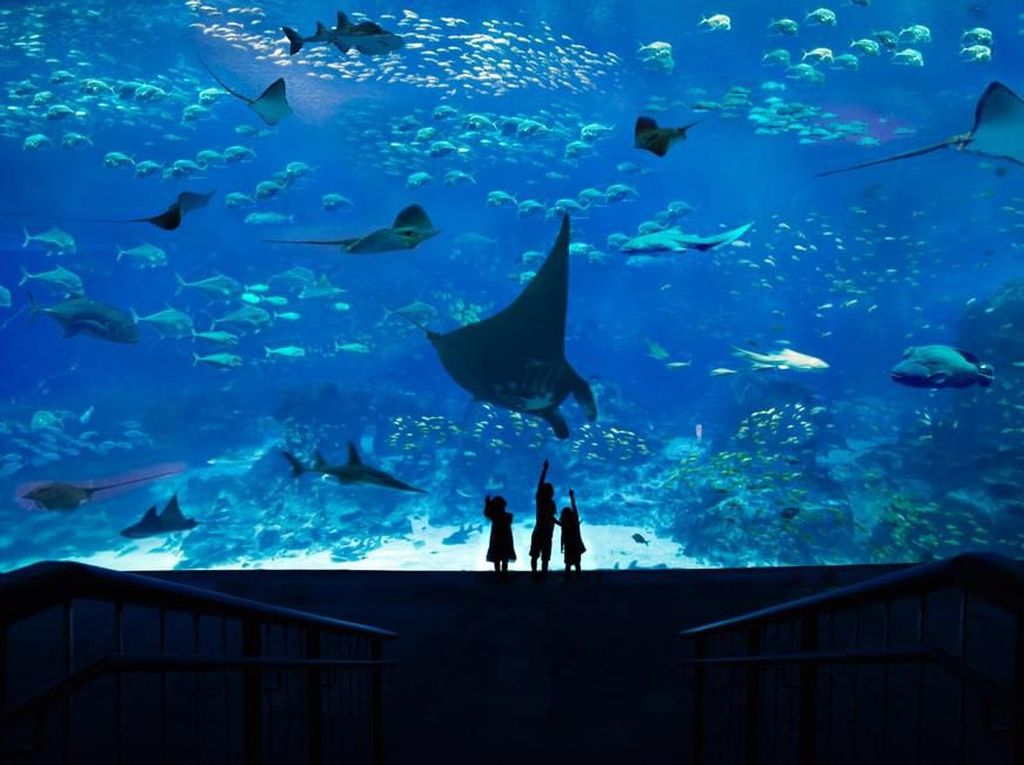 Resorts World Sentosa: Destinasi Wisata Muslim Friendly di Singapura Resorts World Sentosa: Destinasi Wisata Muslim Friendly di Singapura