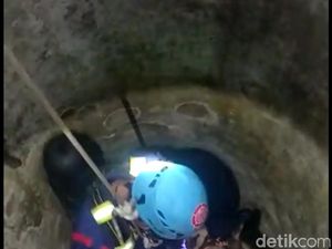 Aksi PMK Selamatkan Kucing Tercebur Sumur Sedalam 10 Meter Aksi PMK Selamatkan Kucing Tercebur Sumur Sedalam 10 Meter