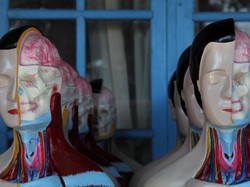 Ruang Lingkup Biologi: Tingkatan, Cabang Ilmu, dan Manfaatnya