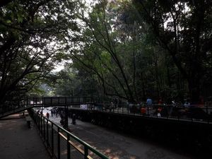 Minggu Pagi di Bandung: Jelajah Babakan Siliwangi