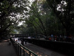 Minggu Pagi di Bandung: Jelajah Babakan Siliwangi