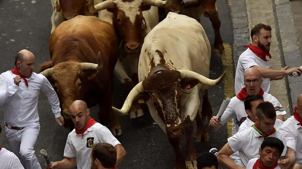 Revellers run next to fighting bulls during the running of the bulls at the San Fermin Festival, in Pamplona, northern Spain, Sunday, July 7, 2019. Revellers from around the world flock to Pamplona every year to take part in the eight days of the running of the bulls. (AP Photo/Alvaro Barrientos)