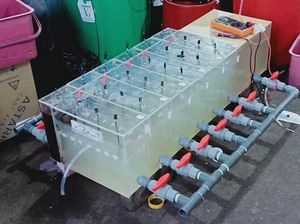 Inovasi Mahasiswa ITS Ini Manfaatkan Bakteri untuk Hasilkan Listrik Inovasi Mahasiswa ITS Ini Manfaatkan Bakteri untuk Hasilkan Listrik