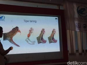 10 Orang Tewas dalam 51 Kasus Gigitan Ular di Jabar