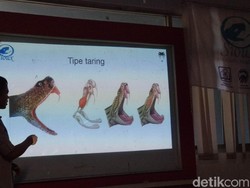 10 Orang Tewas dalam 51 Kasus Gigitan Ular di Jabar