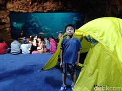 Serunya Berkemah di Sea World Sambil Memandangi Biota Laut