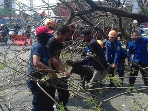 Sebuah Pohon Tumbang Timpa Warung di Bekasi, Tak Ada Korban
