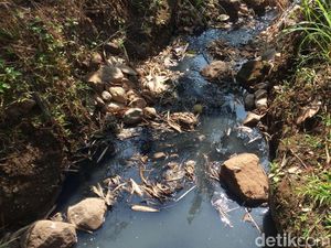 Sungai di Semarang Hitam Berlendir, Tanggung Jawab Siapa?