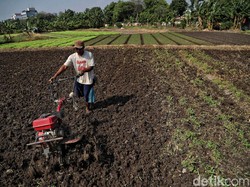 Genjot Kemampuan SDM, Kementan Jalankan Standardisasi Profesi Petani