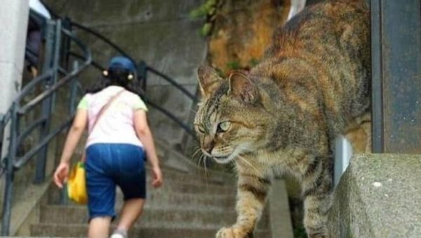 Kumpulan Potret Ini Bisa Tetap Ajaib Tanpa Photoshop