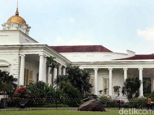 Ngaku Anak Angkat Jokowi, Seorang Pria Nekat Panjat Pagar Istana Bogor