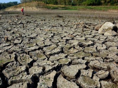 Waduk Grojokan di Jombang Mulai Mengering
