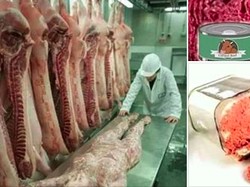Viral Hoax Daging Impor dari China Berbahan Daging Manusia