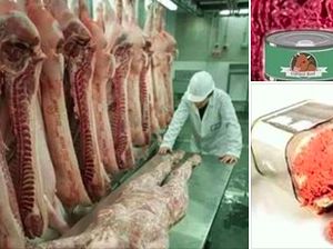 Viral Hoax Daging Impor dari China Berbahan Daging Manusia Viral Hoax Daging Impor dari China Berbahan Daging Manusia