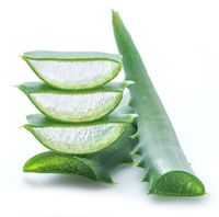 5 Bahan Alami untuk Hilangkan Ketombe di Kulit Kepala Anak