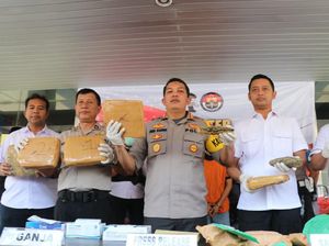 Polisi Gagalkan Penyelundupan 8 Kg Ganja dari Jaringan Lampung