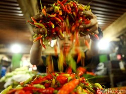 Harga Cabai Mahal, Amran: Biarkan Petani Bernapas