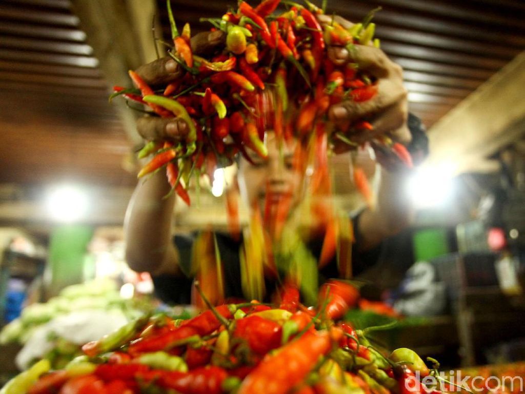 Harga Cabai Mahal, Amran: Biarkan Petani Bernapas Harga Cabai Mahal, Amran: Biarkan Petani Bernapas