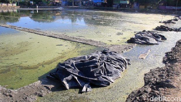 Petani Garam di Sulsel Setop Produksi Gara-gara Harga Anjlok