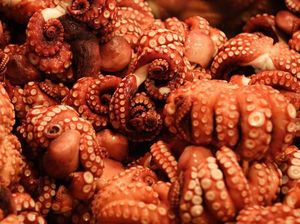 Waspada! 10 Makanan Ini Bisa Menyebabkan Kematian Waspada! 10 Makanan Ini Bisa Menyebabkan Kematian