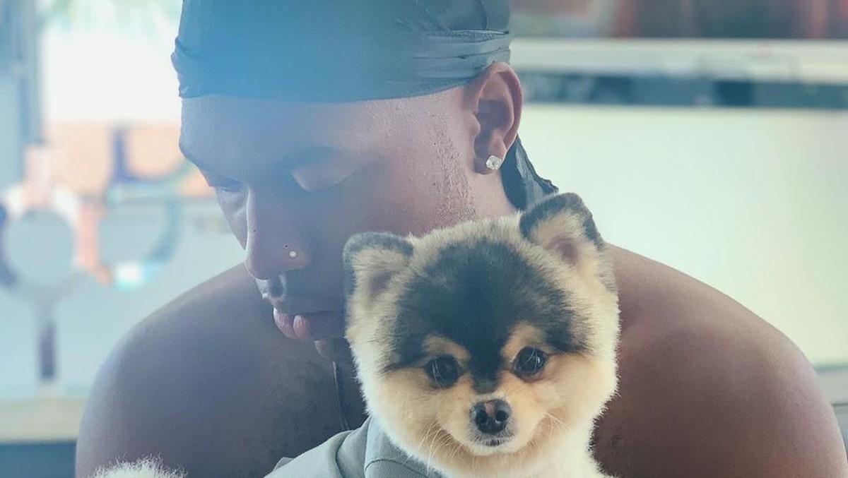 Anjing Daniel Sturridge dicuri dari rumahnya (Instagram @danielsturridge)