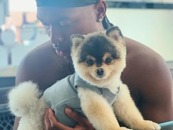 Daniel Sturridge Marah-marah: Rumahnya Dibobol, Anjingnya Dicuri