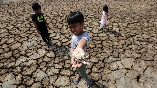 Kekeringan dan Krisis Air Jadi Isu Serius Masuki Musim Kemarau