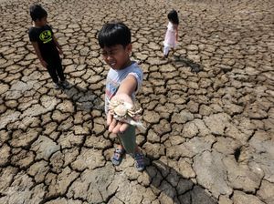 Kekeringan dan Krisis Air Jadi Isu Serius Masuki Musim Kemarau