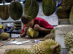 Begini Cara Pilih Durian yang Masak Menurut Pakar Durian