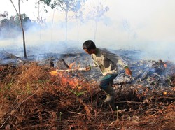 Pekanbaru Dikepung Asap, Waspadai Risiko Gangguan Fungsi Paru