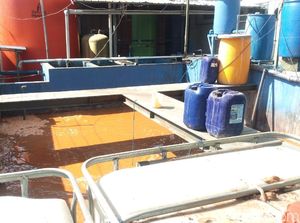 Sungai di Semarang Tercemar, Pabrik Sekitar Lokasi Membela Diri Sungai di Semarang Tercemar, Pabrik Sekitar Lokasi Membela Diri