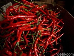 Doyan Pedas? Hati-hati, 50 Gram Cabai Tiap Hari Tingkatkan Risiko Pikun