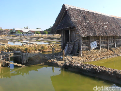 Petani Garam di Sulsel Setop Produksi Gara-gara Harga Anjlok
