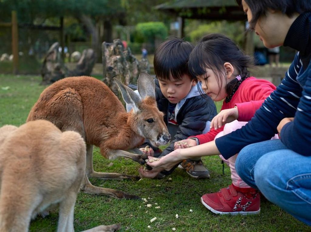 Perth Australia Barat, Jadi Tempat Liburan Ideal Keluarga Perth Australia Barat, Jadi Tempat Liburan Ideal Keluarga