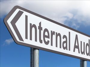 Strategi Penguatan Auditor Internal Pemerintah