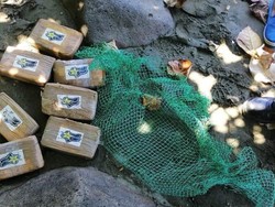 Saat Turis Dibuat Heboh, Temukan Kokain-kokain di Pantai