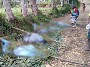 Cerita Ngeri Pembantaian Etnis di Papua Nugini