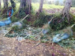 Papua Nugini Tingkatkan Keamanan Usai Pembantaian Etnis Papua Nugini Tingkatkan Keamanan Usai Pembantaian Etnis