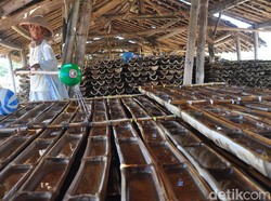 Musim Kemarau Telah Tiba, Petani Garam di Grobogan Panen Raya