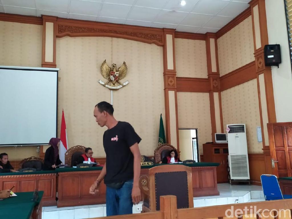 Pelihara Merak hingga Rangkong Tanpa Izin, Pak Ketut Dihukum 7 Bulan Bui Pelihara Merak hingga Rangkong Tanpa Izin, Pak Ketut Dihukum 7 Bulan Bui